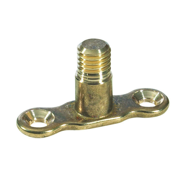 Brass Munsen Ring Backplate Male 10mm MP10